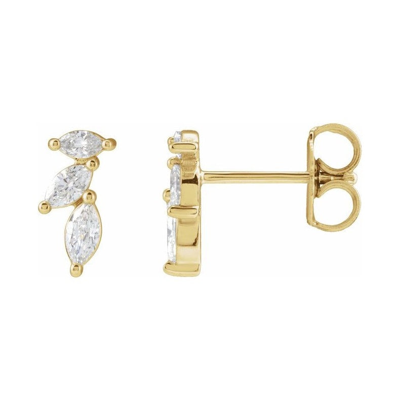 Accented Earrings
