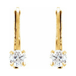 Youth Accented Earrings