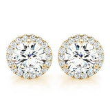 Yellow Gold Lab Diamond Halo Earring Pair