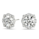 Platinum Lab Diamond Halo Earrings