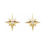Accented Star Earrings