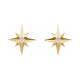 Accented Star Earrings