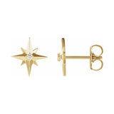 Accented Star Earrings