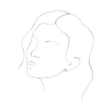 Accented Star Earrings