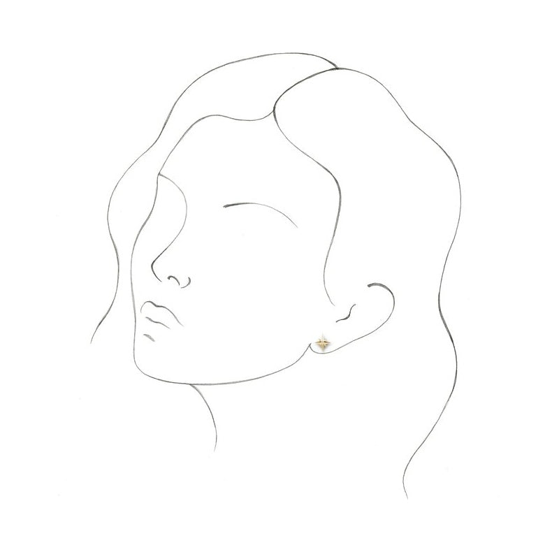 Accented Star Earrings