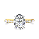 Micropave Engagement Ring from the Micropave collection